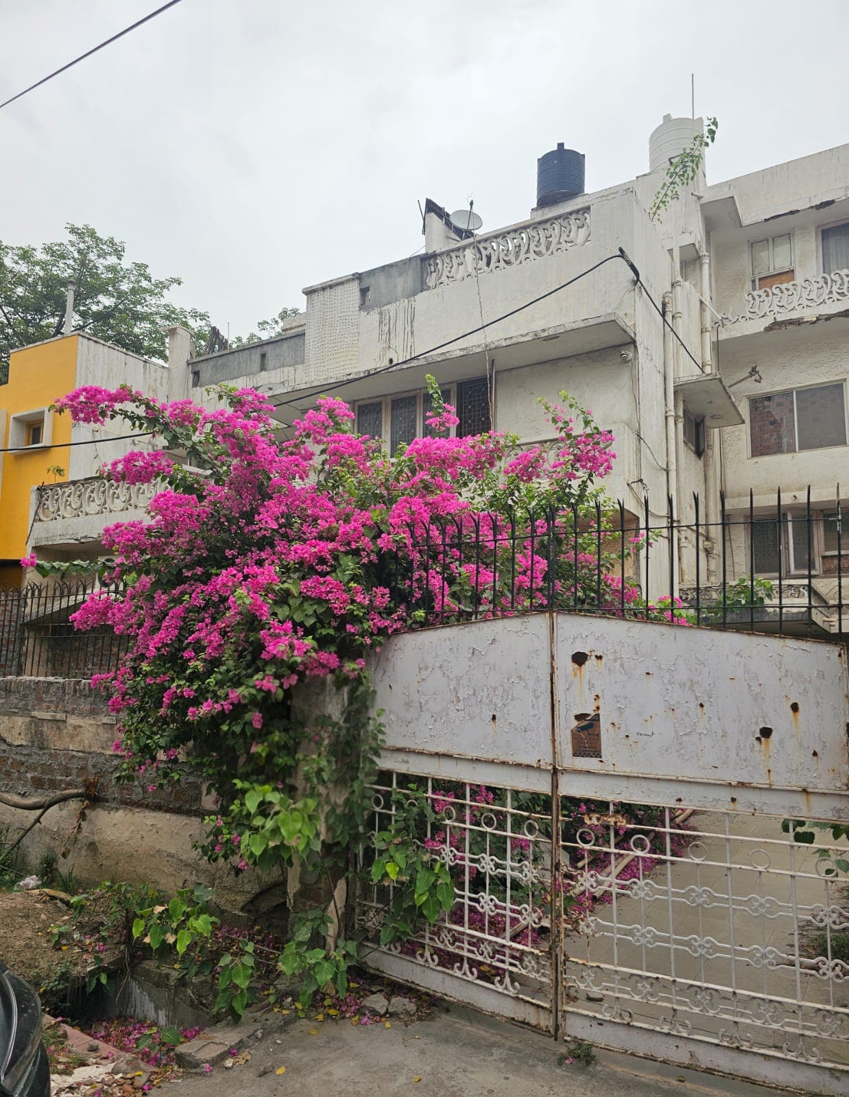 B Block Defence Colony bungalow with bougainvillea frontage